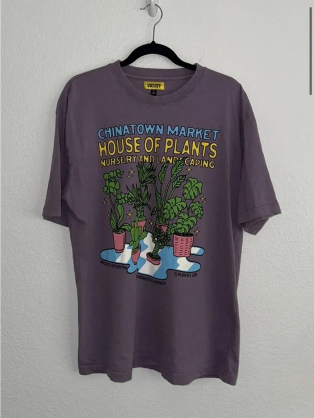 Chinatown Market "House of Plants" Graphic Tee - Purple medium